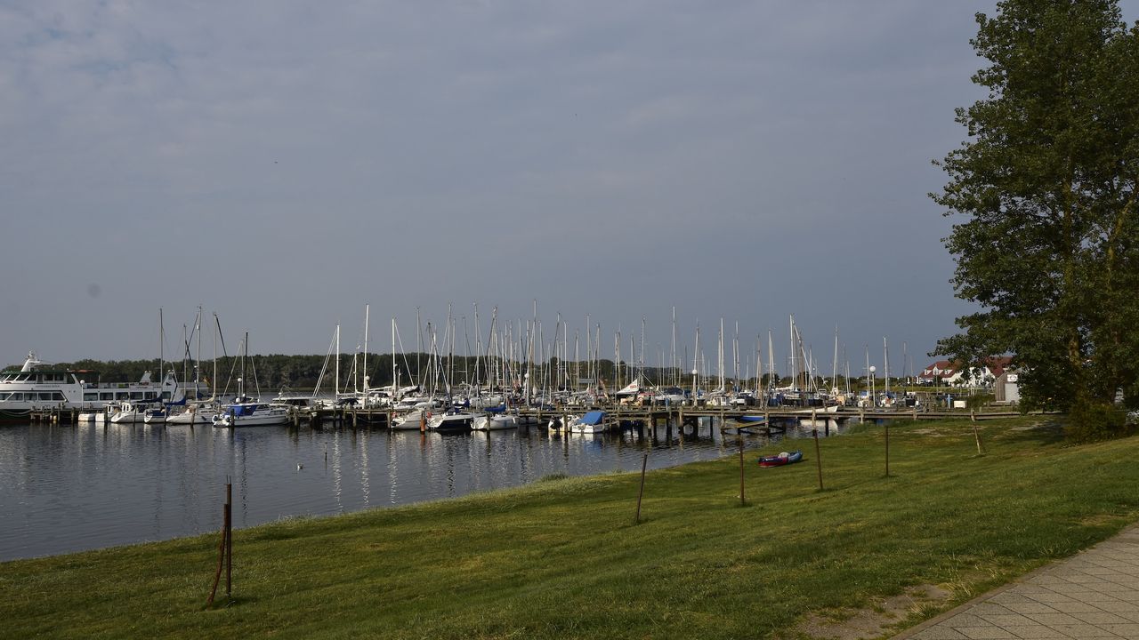 AreaSummer5KM AreaSummer5KM